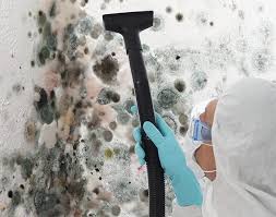 Best Asbestos and Lead Testing During Mold Inspection  in Lincoln, ND